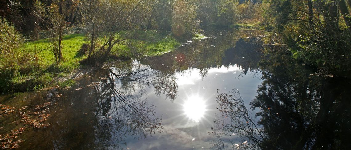 Kleinwasserkraftwerk Buchholz